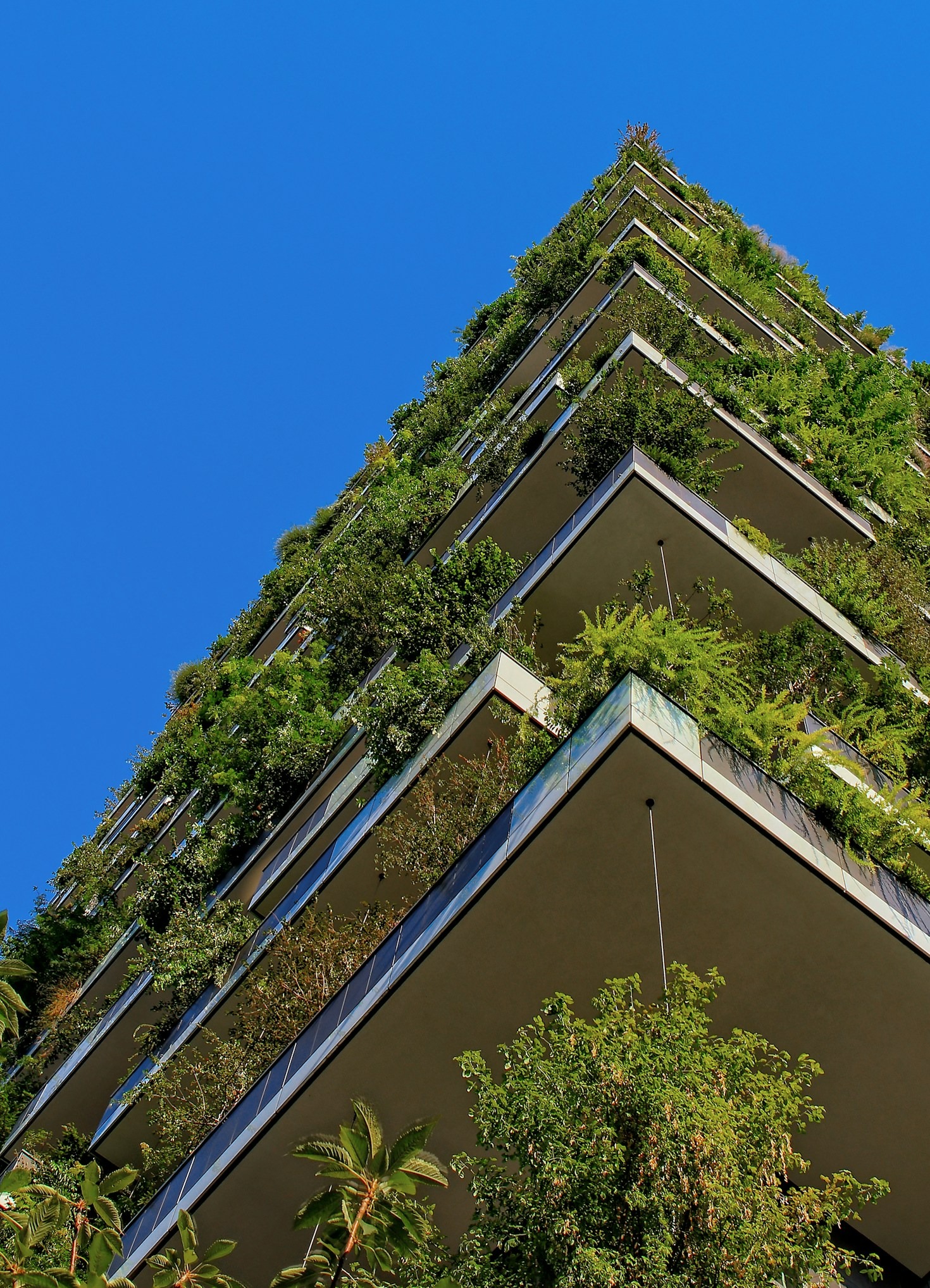 Como a Engenharia Ambiental Informa a Liderança